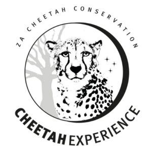 Cheetah Experience